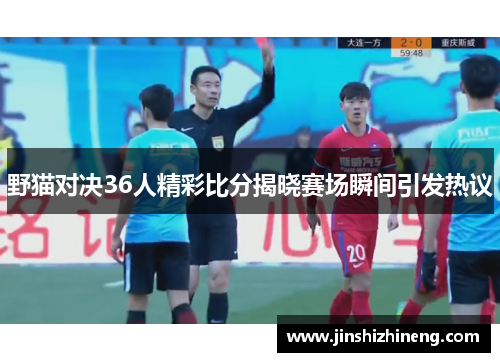 野猫对决36人精彩比分揭晓赛场瞬间引发热议